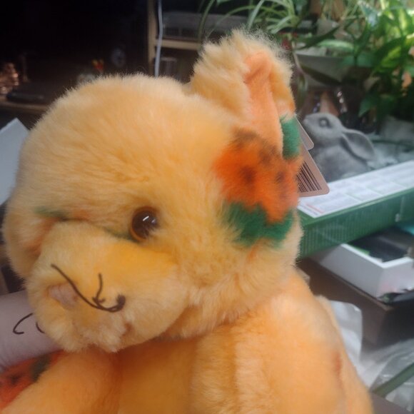 Build-a-Bear Pumpkin Kitties 2024 - Picture 4 of 12